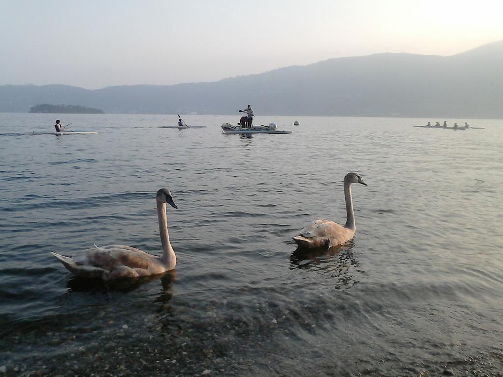 Cossogno B&B Il Castello Lago Maggiore Con Terrazza المظهر الخارجي الصورة
